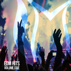 EDM Hits, Vol. 5