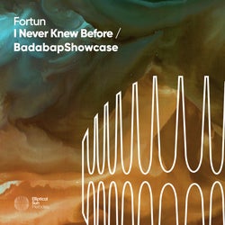 I never Knew Before / Badabap Showcase EP