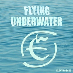 Flying Underwater (Remixed and Remastered)