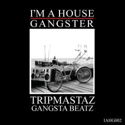Tripmastaz I'm A House Gangster chart