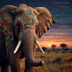 Elephant Express