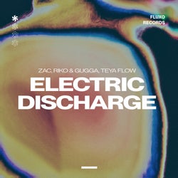 Electric Discharge (feat. Teya Flow)