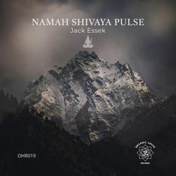 Namah Shivaya Pulse