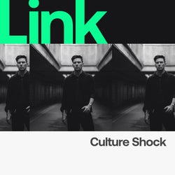LINK Artist | Culture Shock - DECONSTRUCT