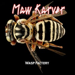 Wasp Factory