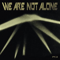 We Are Not Alone Pt. 3 (compiled by Ellen Allien)