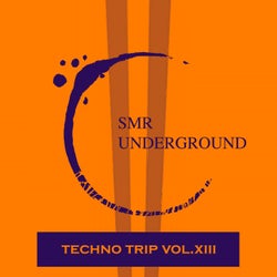 Techno Trip Vol.XIII