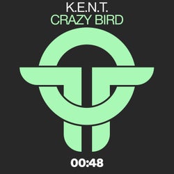 Crazy Bird