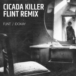 Cicada Killer - Flint Remix