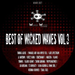 Copertina per Best Of Wicked Waves Vol.3