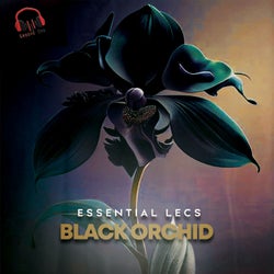 Black Orchid