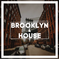 Brooklyn & House, Vol. 1