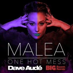 One Hot Mess (Dave Audé Big Room Remix)