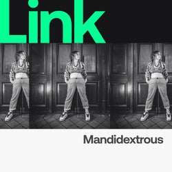 LINK Artist | Mandidextrous - Speedbass