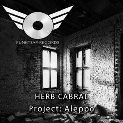 Project Aleppo