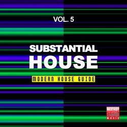 Substantial House, Vol. 5 (Modern House Guide)