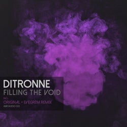 Filling the Void (Incl. Evegrem Remix)