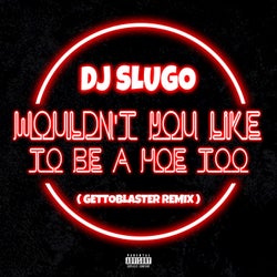 Wouldn't You Like To Be A Hoe Too (GettoBlaster Remix)