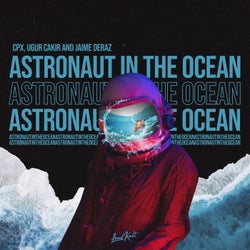 Astronaut in the Ocean