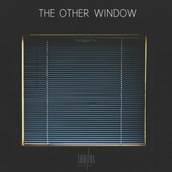 The Other Window