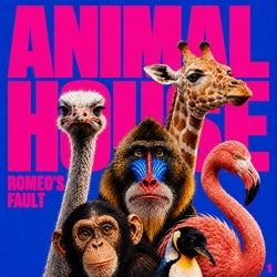 ANIMAL HOUSE