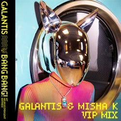 BANG BANG! (My Neurodivergent Anthem) [Galantis & Misha K VIP Mix]