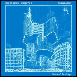 Best Of Natural Feelings Vol 1
