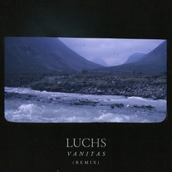 Vanitas - Remix