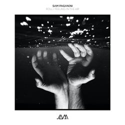 Cover art for Roll / Feeling In The Air