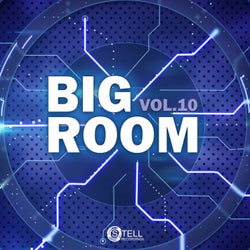 Big Room, Vol. 10