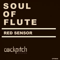 Soul Of Flute