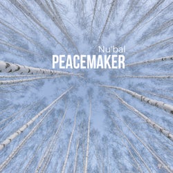 Peacemaker