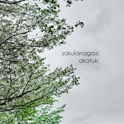 Sakulanagasi