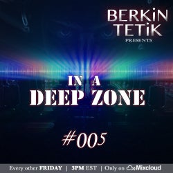 Berkin Tetik - In A Deep Zone #005