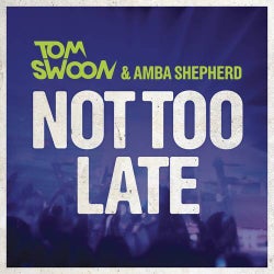Not Too Late (Radio Edit)