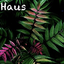 Haus