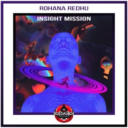 InSight Mission