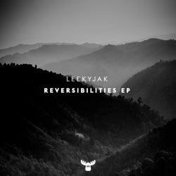 Reversibilities