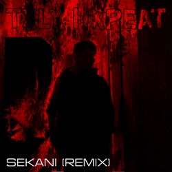 Sekani (Remix)