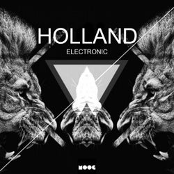 Holland Electronic