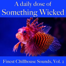 A Daily Dose Of Something Wicked. Finest Chillhouse Sounds, Vol.2