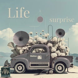 Life Surprise