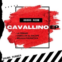 Cavallino