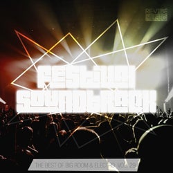 Festival Soundtrack: Best of Big Room & Electro, Vol. 29