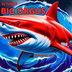 Big Orgus