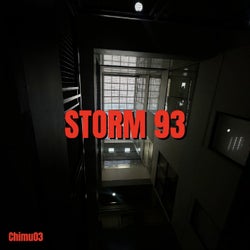 Storm 93