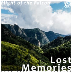 Lost Memories