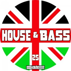 House & Bass, Vol. 25