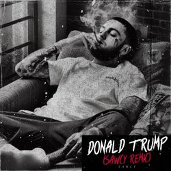 Donald Trump (Sawcy remix)