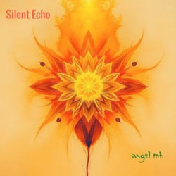 Silent Echo